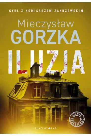 Iluzja. Cienie przeszłości. Tom 2