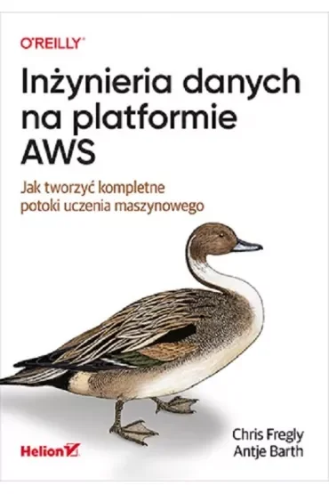 Inżynieria danych na platformie AWS. Jak tworzyć kompletne potoki uczenia maszynowego