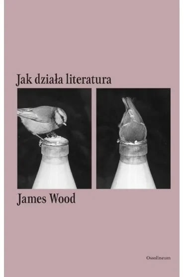 Jak działa literatura