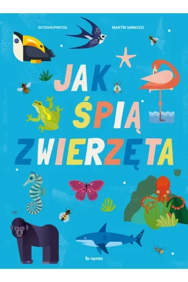 Jak śpią zwierzęta