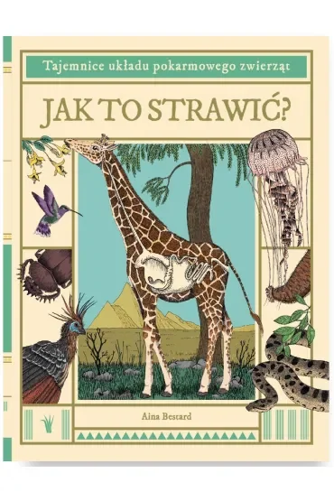 Jak to strawić? Tajemnice układu pokarmowego zwierząt