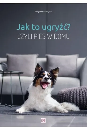 Jak to ugryźć? Czyli pies w domu