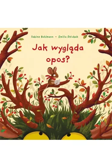 Jak wygląda opos?