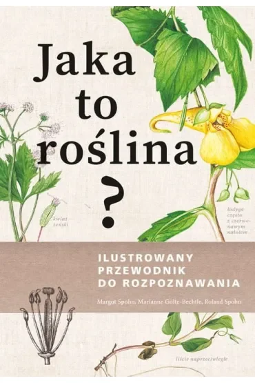 Jaka to roślina? Ilustrowany przewodnik do rozpoznawania