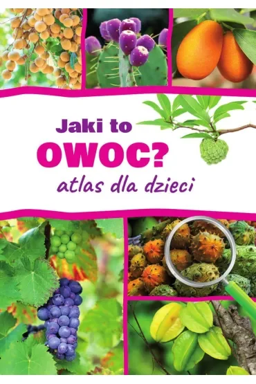 Jaki to owoc? Atlas dla dzieci