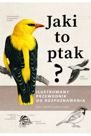 Jaki to ptak? Ilustrowany przewodnik do rozpoznawania