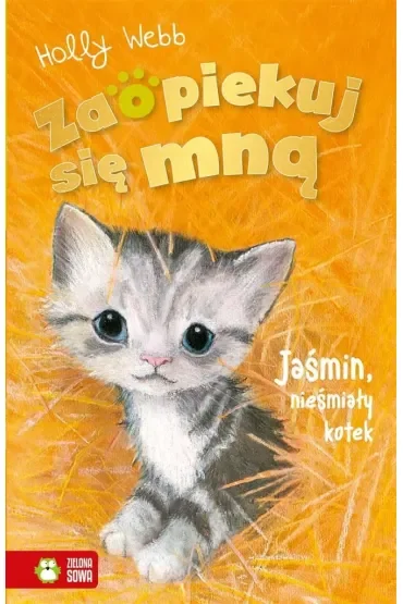 Jaśmin, nieśmiały kotek. Zaopiekuj się mną