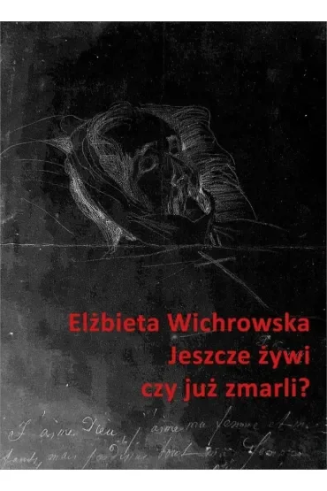 Jeszcze żywi czy już zmarli? Dziewiętnastowieczne dokumentacje emigracyjnego umierania