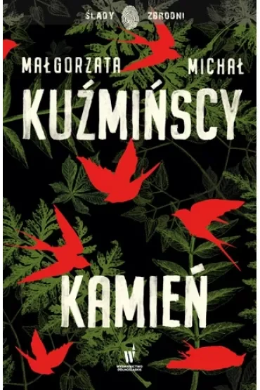 Kamień