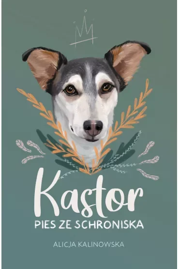 Kastor. Pies ze schroniska