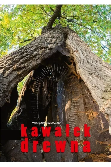 Kawałek drewna