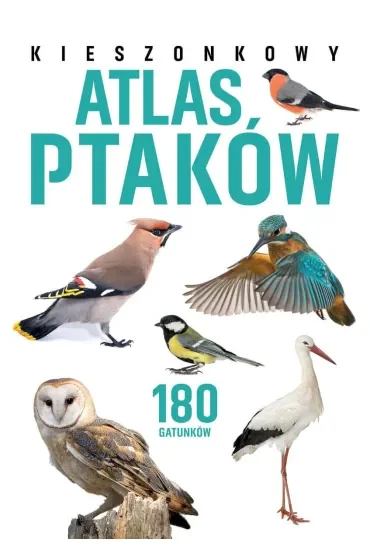Kieszonkowy atlas ptaków. 180 gatunków
