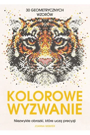 Kolorowe wyzwanie. Niezwykłe obrazki, które uczą precyzji