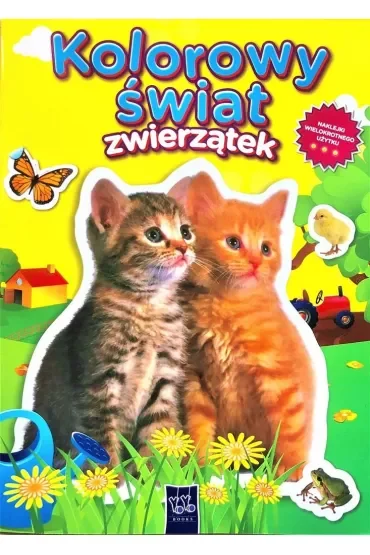 Kolorowy świat zwierzątek. Dwa kotki