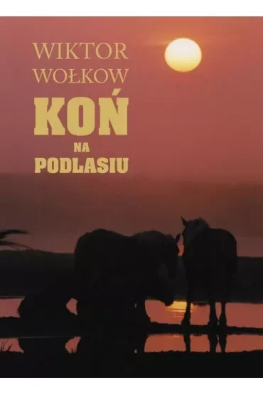 Koń na Podlasiu