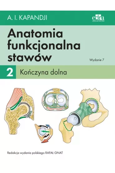 Kończyna dolna. Anatomia funkcjonalna stawów. Tom 2