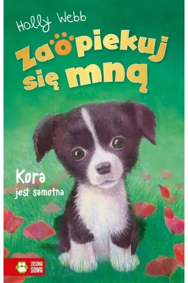 Kora jest samotna. Zaopiekuj się mną