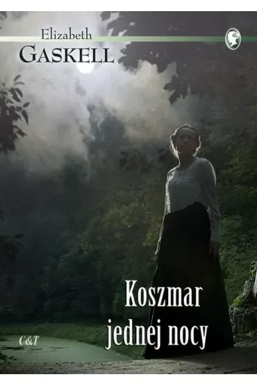 Koszmar jednej nocy