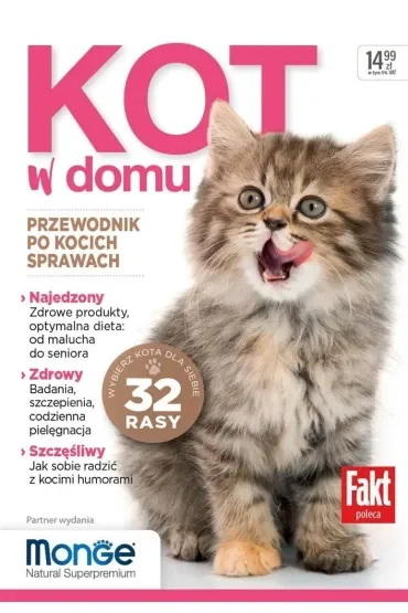 Kot w domu