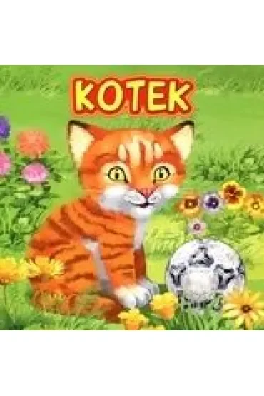 Kotek JAFI
