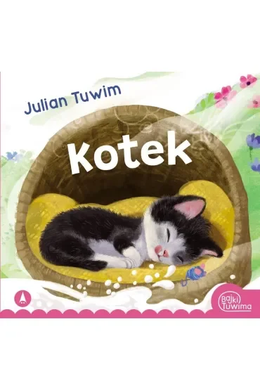 Kotek