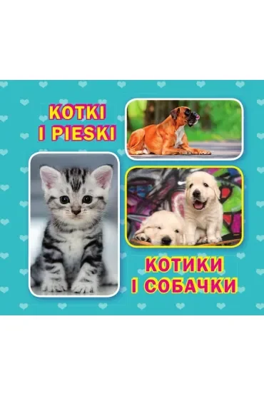 Kotki i pieski. Kotiki i sobachki