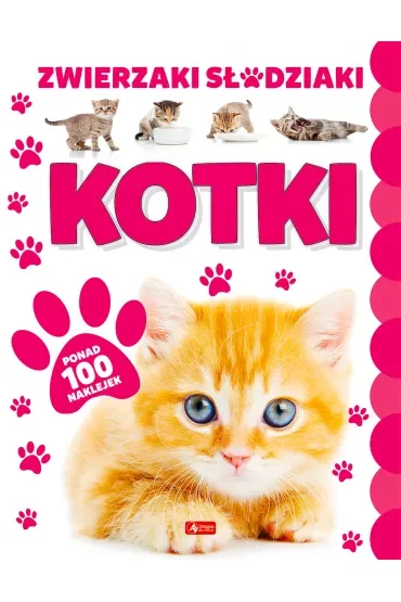 Kotki. Zwierzaki Słodziaki