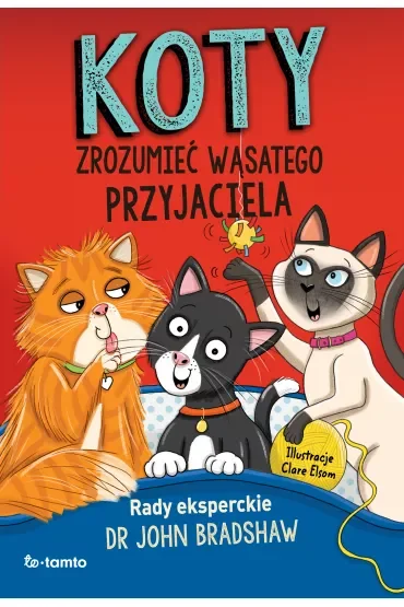 Koty. Zrozumieć wąsatego przyjaciela
