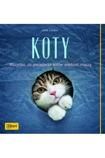 Koty wszystko co posiadacze kotów wiedzieć muszą
