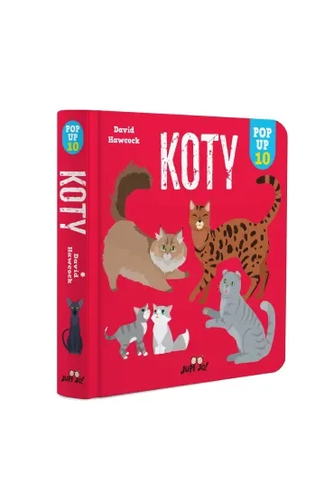 Koty. POP-UP 10