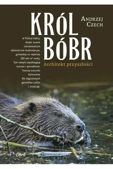 Król bóbr. Architekt przyszłości