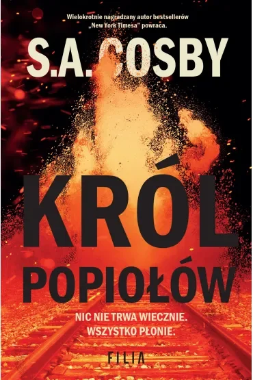 Król popiołów