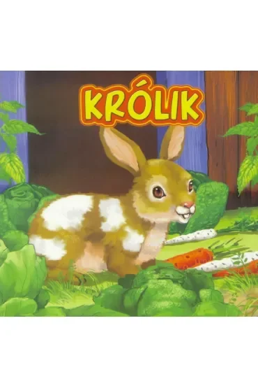 Królik