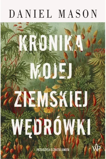 Kronika mojej ziemskiej wędrówki