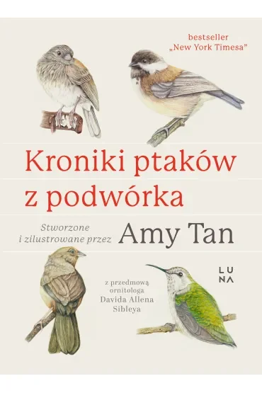 Kroniki ptaków z podwórka