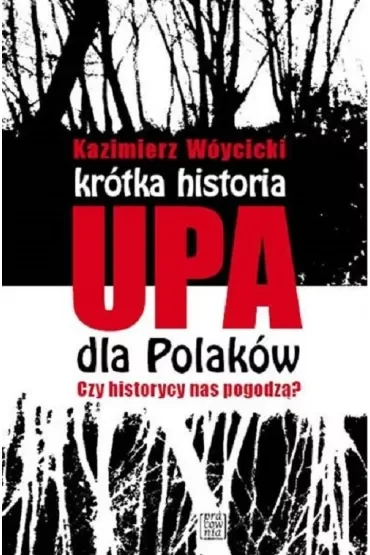 Krótka historia UPA dla Polaków. Czy historycy nas pogodzą?