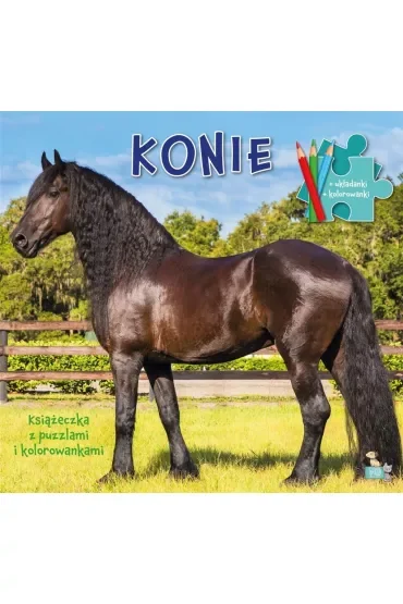 Książeczki z puzzlami i kolorowankami. Konie