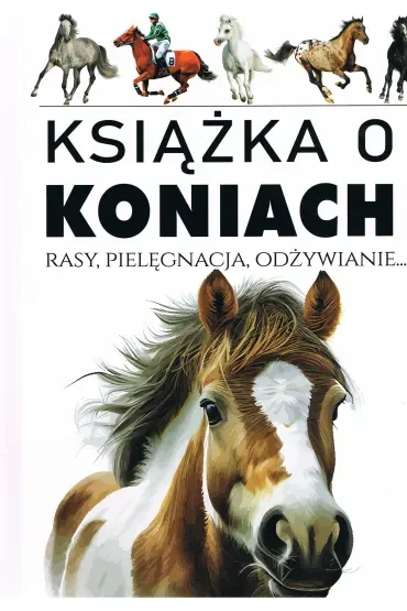 Książka o koniach