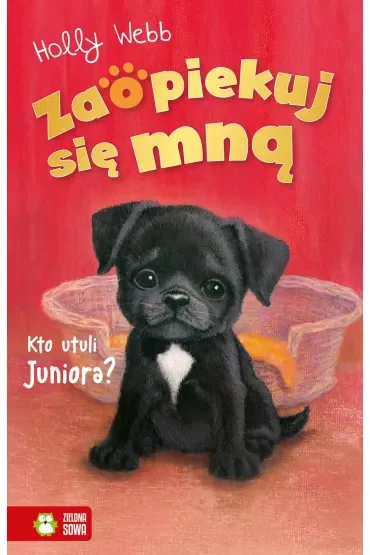 Kto utuli Juniora? Zaopiekuj się mną