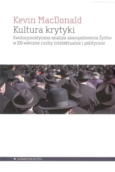 Kultura krytyki