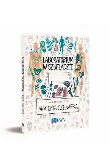 Laboratorium w szufladzie Anatomia człowieka