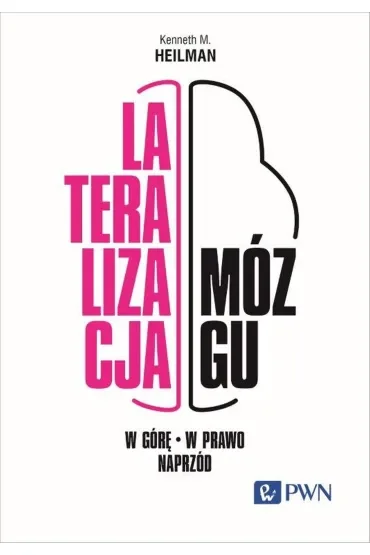 Lateralizacja mózgu. W górę – w prawo - naprzód