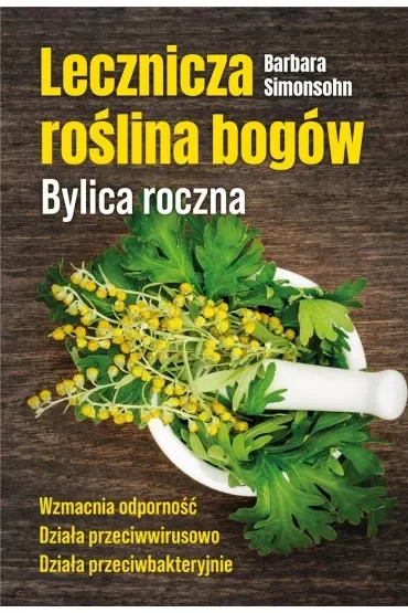 Lecznicza roślina bogów. Bylica roczna