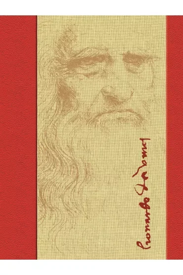 Leonardo 500