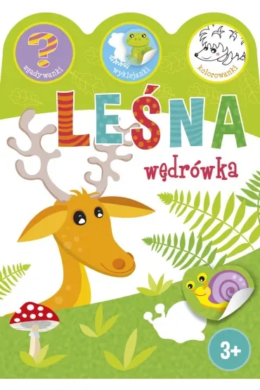 Leśna wędrówka
