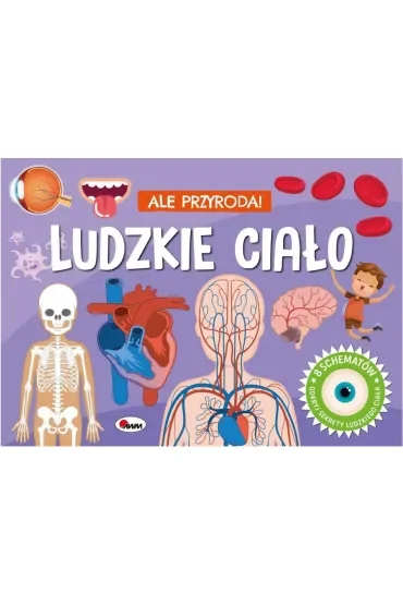 KSIAZECZKA EDUK 255X185 OPR TW LUDZ CIALO 3D AWM
