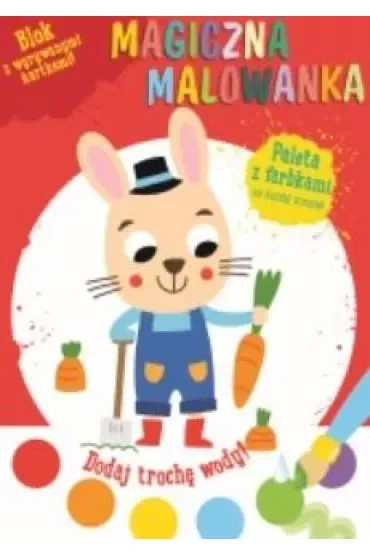 Magiczna malowanka z farbkami Królik