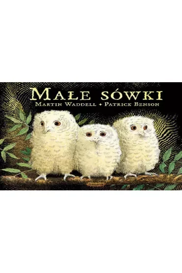 Małe sówki