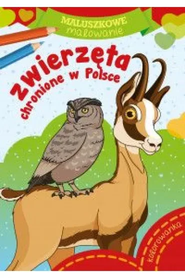 Maluszkowe malowanie. Zwierzęta chronione w Polsce