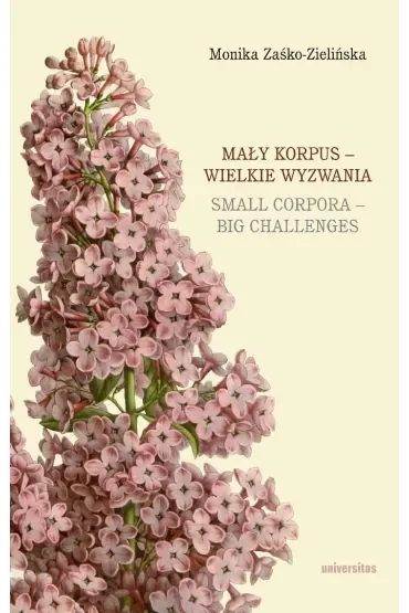 Mały korpus – wielkie wyzwania / Small corpora – big challenges